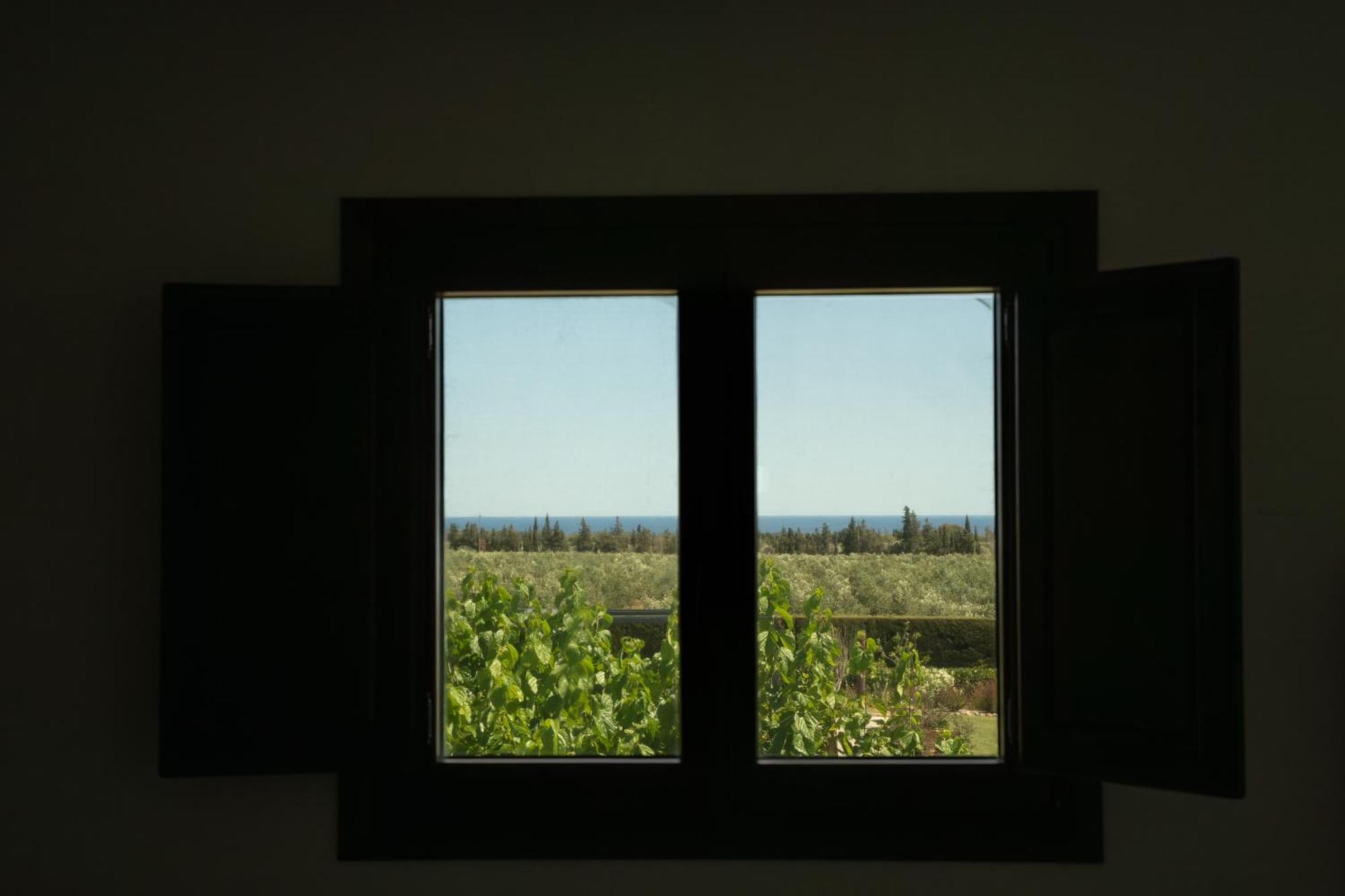 Deluxe Double Room Balcony