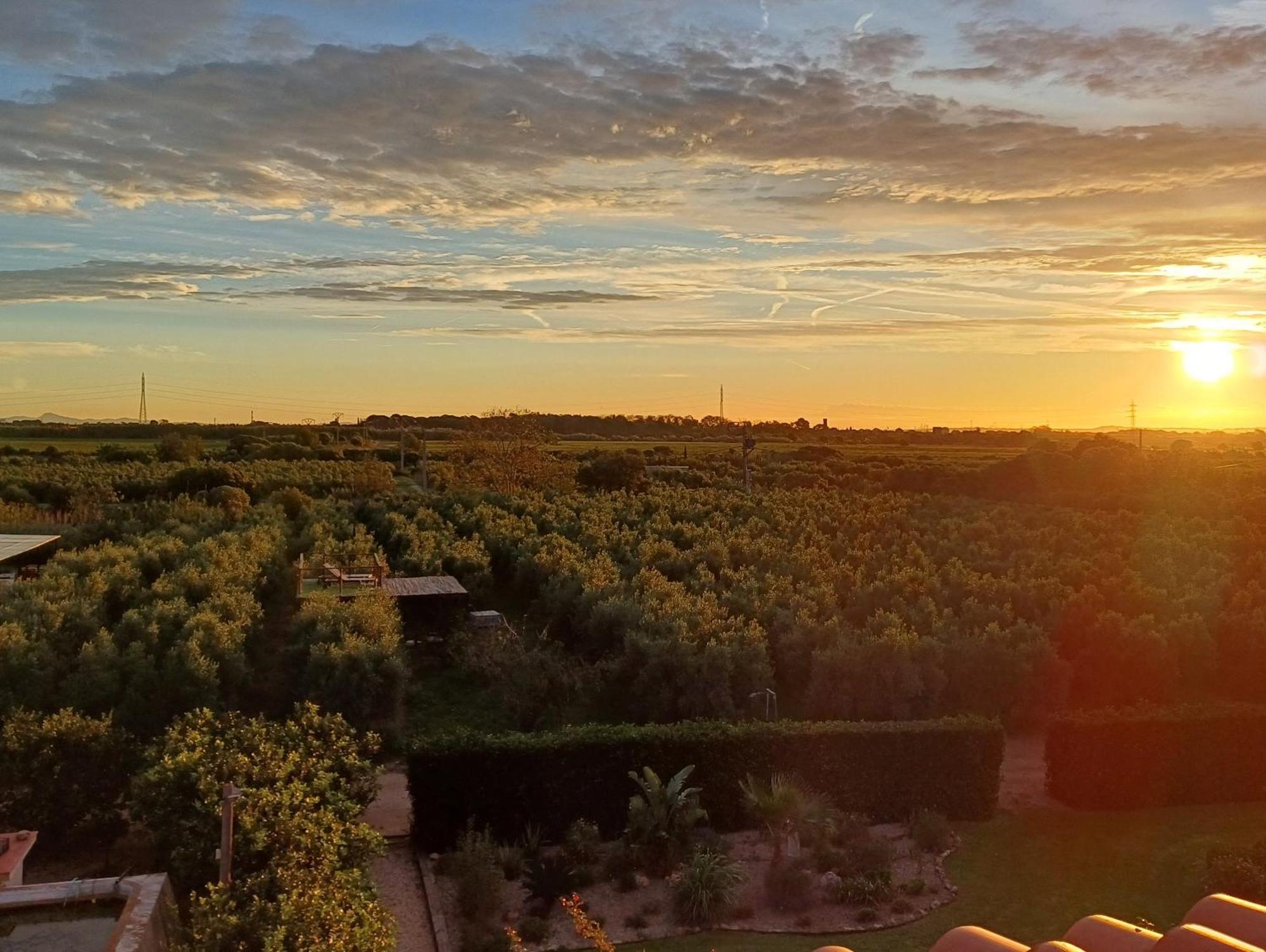 Double Room View